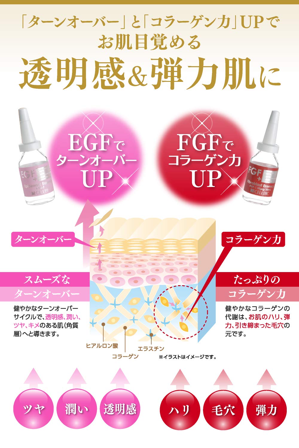 Amazon | セルビック Fエッセンス FGF 高濃度 美容液 20ml 