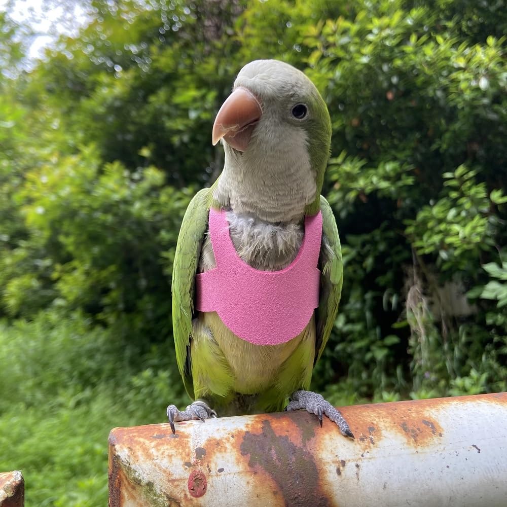 PARREN Bird Flight Harness Vest, Parrot Flight Suit with Leash for Parakeets, Bird Flying Clothes with Rope and Handle for Outdoor Activities Training, Anti Bite (3XL), Red