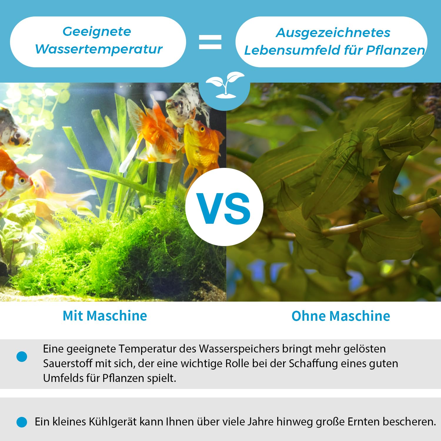300L Wasserkühler Aquarium 245W Aquarium Kühler,Kühlsysteme für Fischbecken Aquaponic Garnelen Axolotl inkl. Schlauch und Haltering