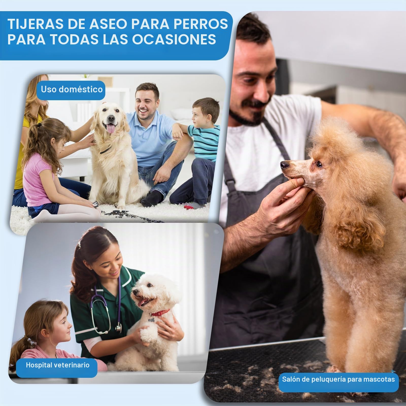 JASON Profesional Set 6 en 1 Tijeras de Peletería para Perros - 7.5 Pulgadas Adelgazar/Chunker/Curvas/Rectas Con Mango Ergonómico, Oro Rosa