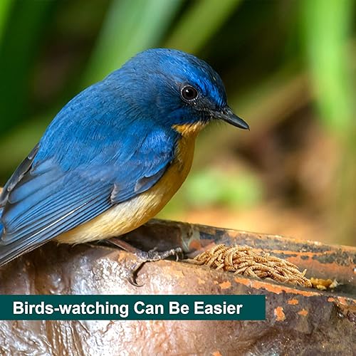 Miniatura 9 de Gusanos de harina secos sin OMG, larvas de alto contenido en proteínas, suplemento de muda para aves, gallinas, patos, etc., comida a granel grande