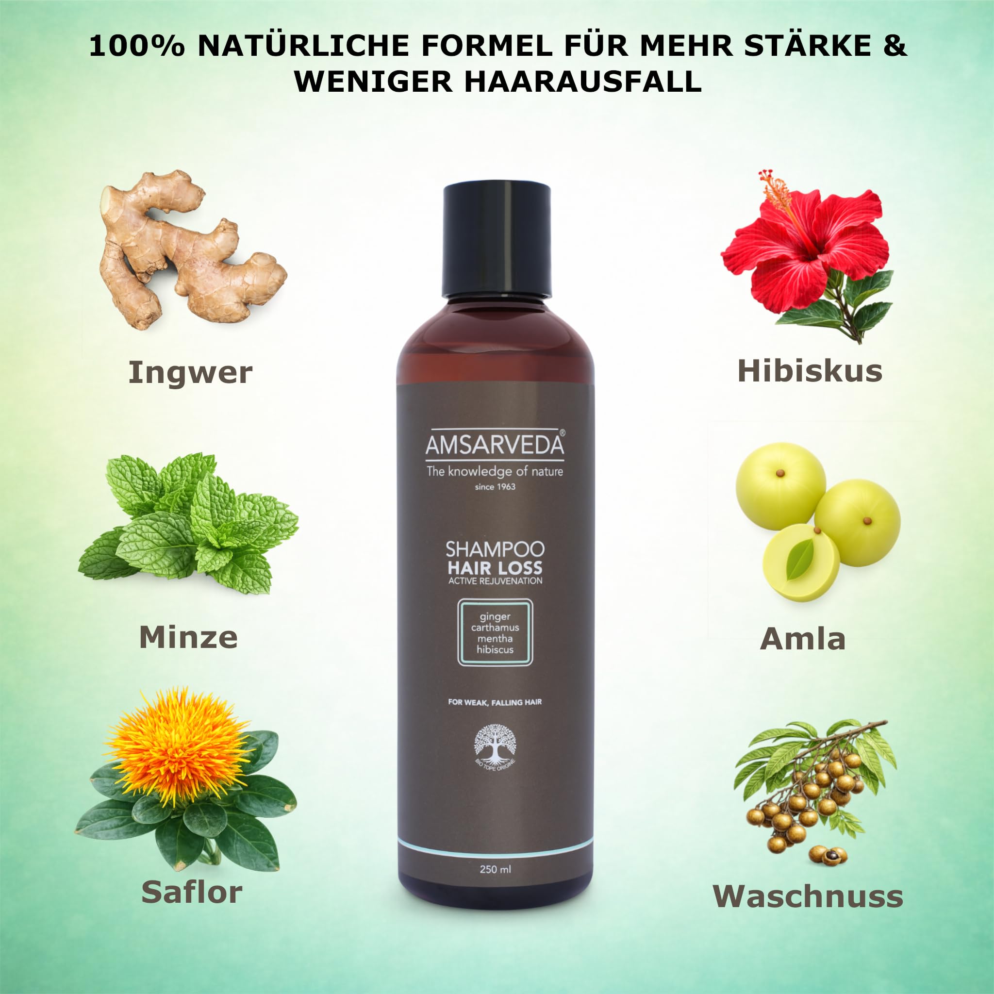 Amsarveda Hair Loss Active Rejuvenation Shampoo – 100% natürlich, ayurvedisch, intensive Reinigung, pflegend, ohne Parabene und Sulfate, 250 ml