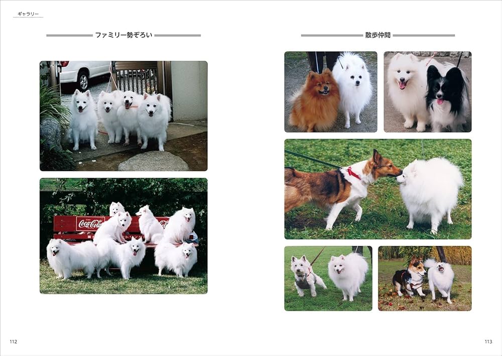 スピッツバイブル: 日本人の英知と工夫から誕生した国産犬種 | 岡田