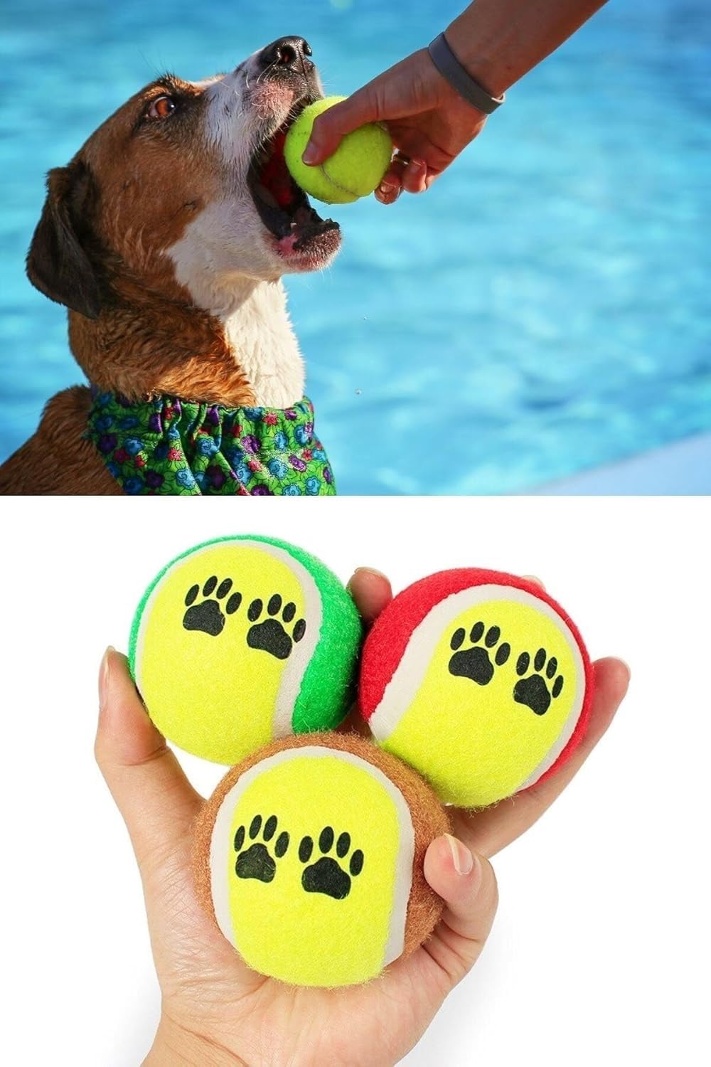 Dayanıklı Tenis Topu Köpek Eğitim Oyuncağı 3'lü Set - Eğlenceli Evcil Hayvan Yakalama ve Fırlatma Oyun Topu, Diş Sağlığı Destekleyici İnteraktif Köpek Topu