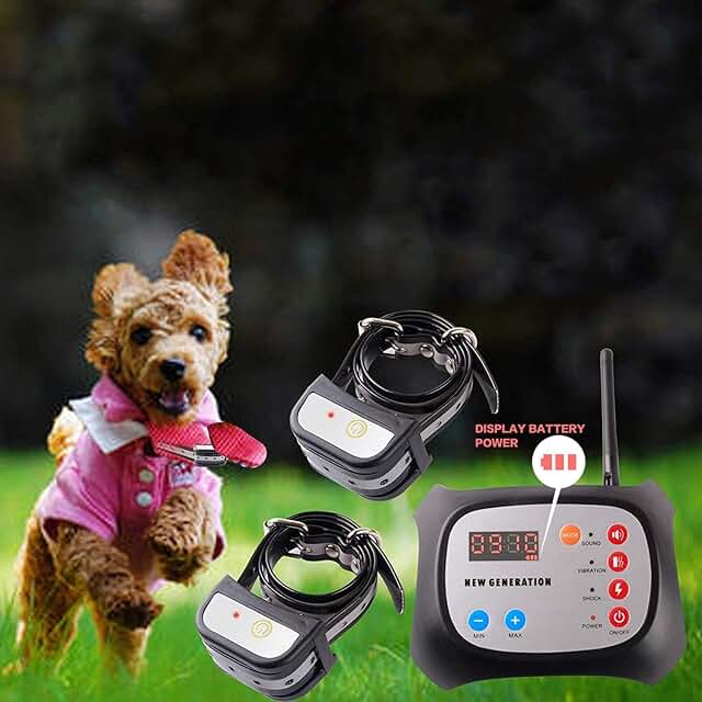 wireless dog fence for 2 dogs