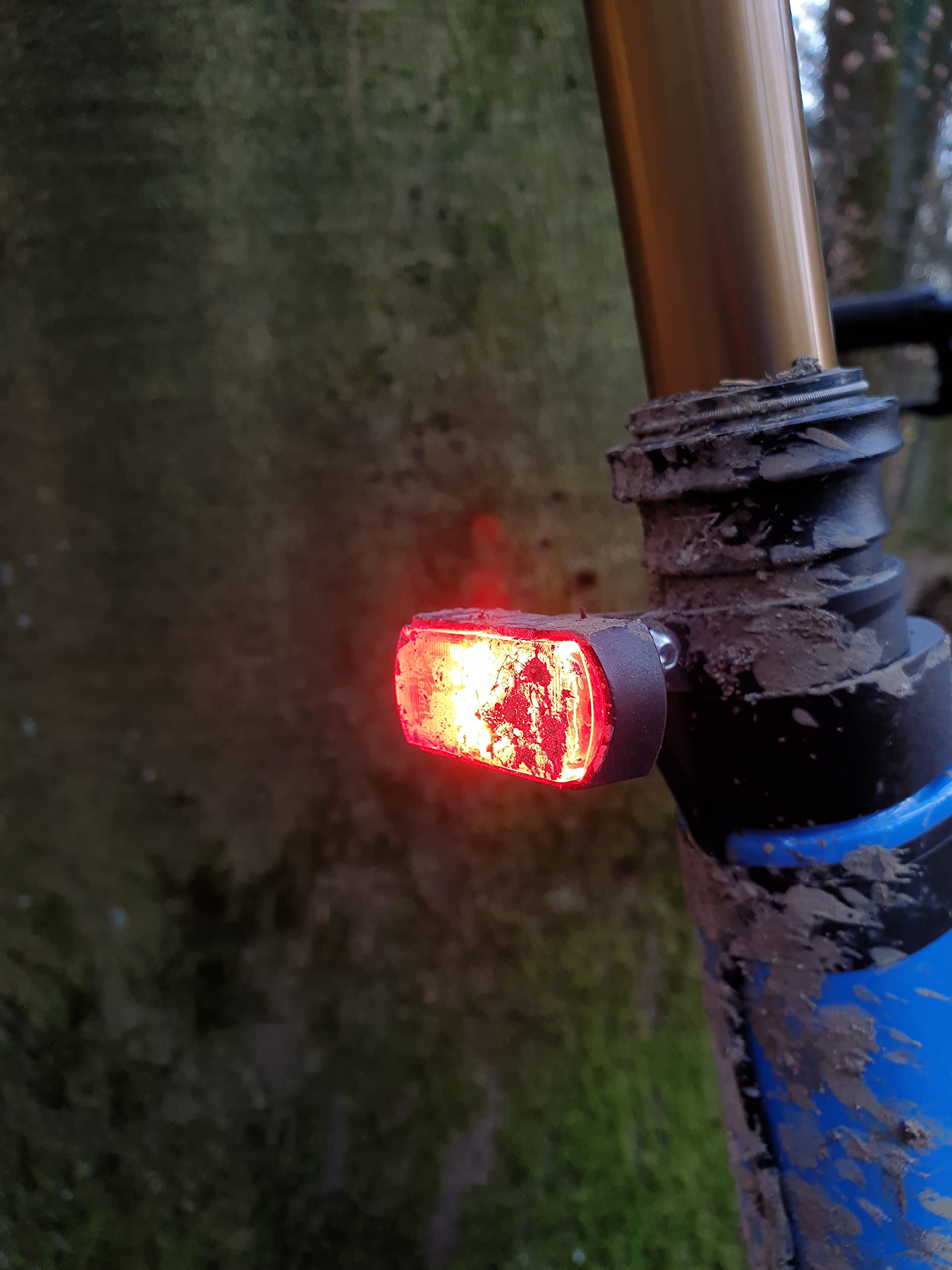 Litemove - Fanale posteriore per bici elettrica TS-SP