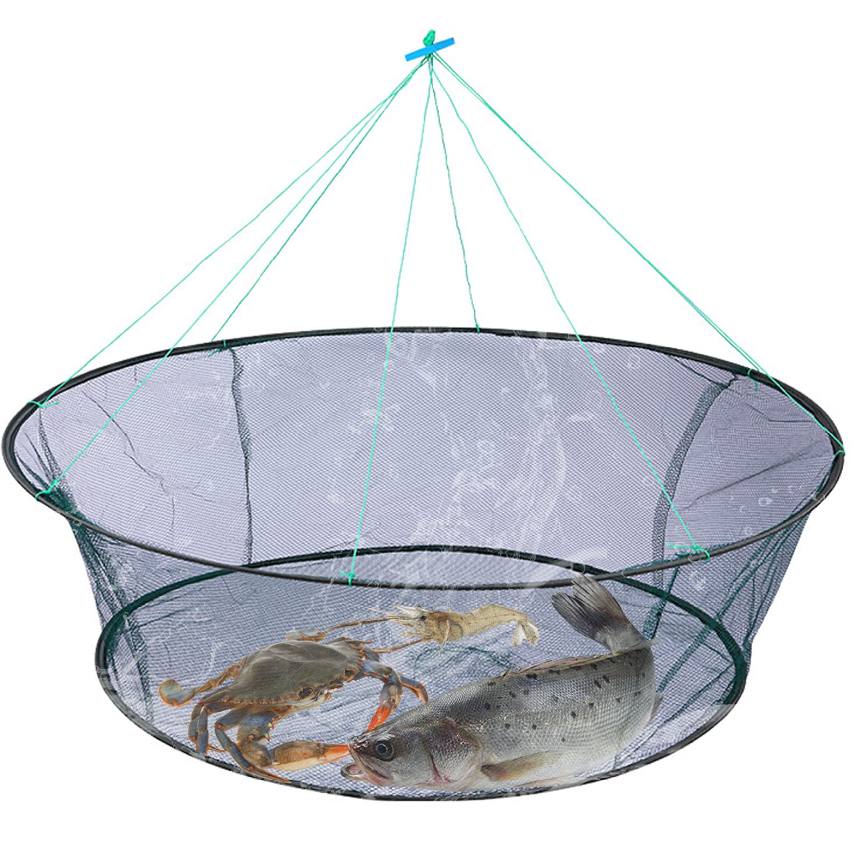 Filet de Pêche Pliant Portable - Piège à Mailles Pour Ménés, Homard, Crevettes et Crabe