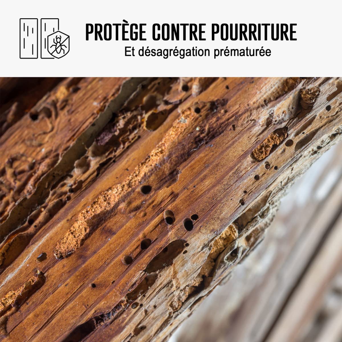 Traitement mérule, produit extérieur ou intérieur - 20 L - ARCANE INDUSTRIES