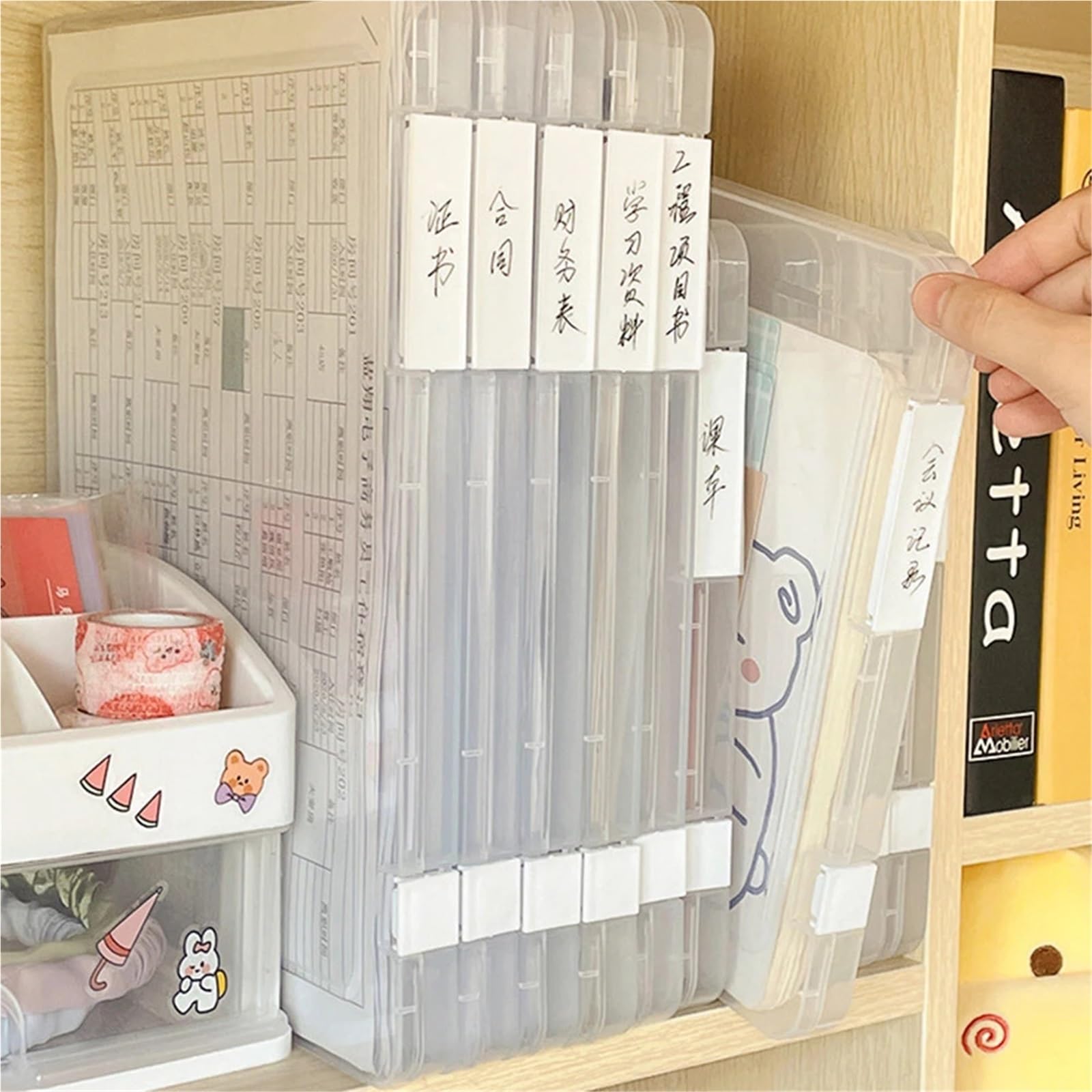 5 pezzi trasparenti A4 cartella organizer scatola scuola ufficio forniture documenti per Scuola, Ufficio