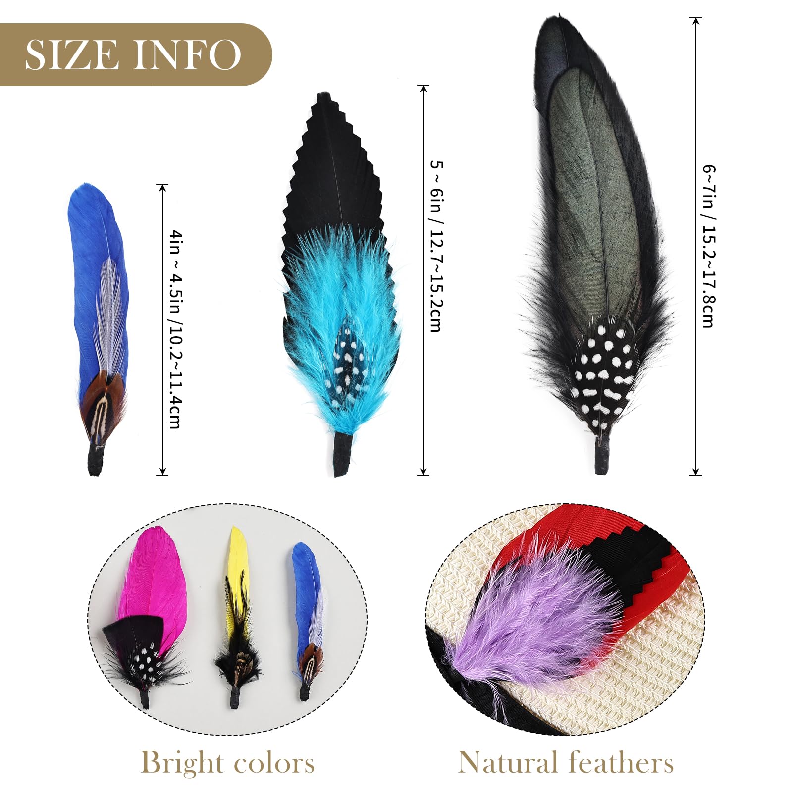 Daieeparty Hat Feathers 12PCS Colorful Natural Craft Feather for Cowboy Hat Fedoras Trilby Hats Panama Hat DIY Costumes Decorations