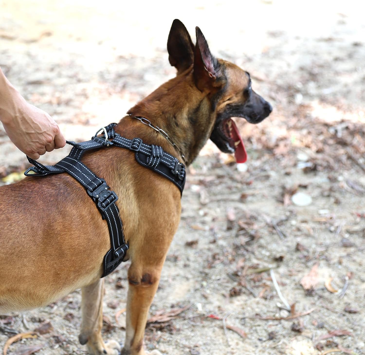 ICEFANG Dog Strap Harness with 4 x Metal Buckles,for Large Sized Dog,K9 Vest,Y-Shape Chest,Adjustable Pet Harness,No-Pull Front Leash Clip (Large (Pack of 1), Black)