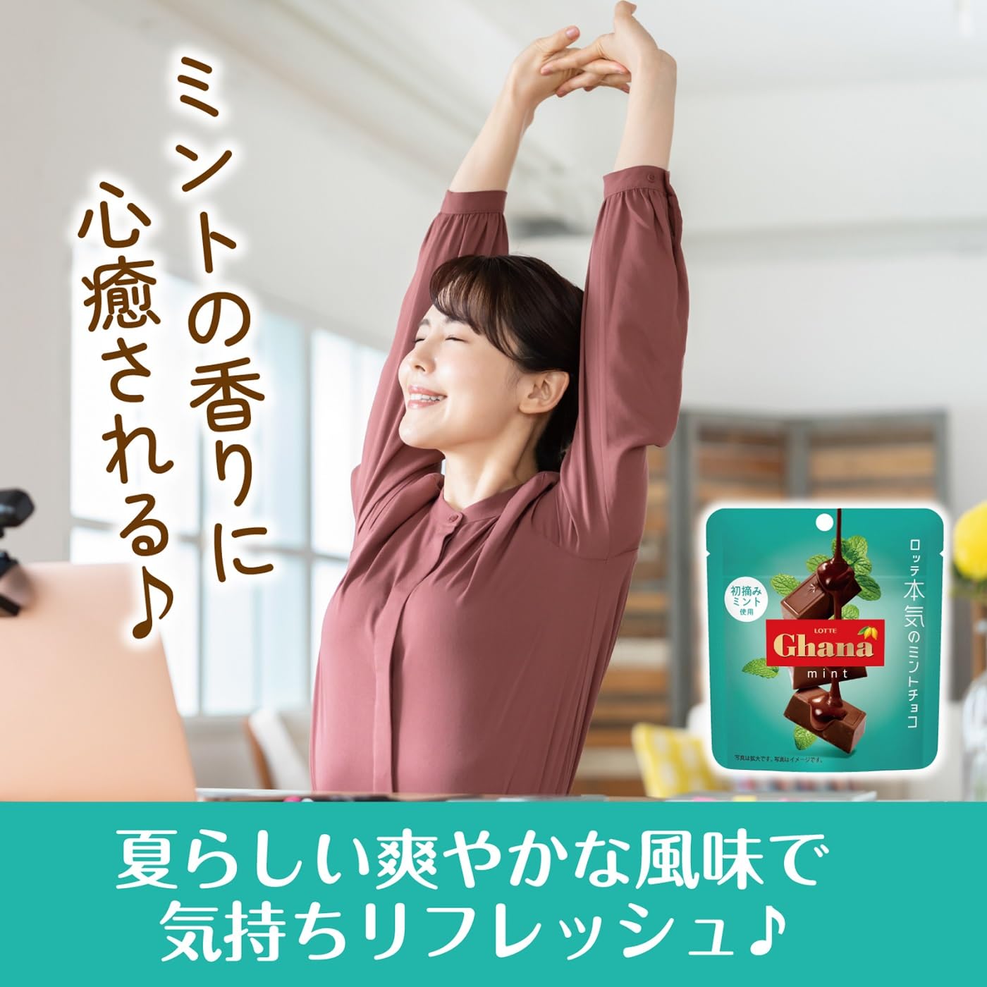 Amazon | ロッテ ガーナミントチョコレート 33g×10個 | ロッテ | 板