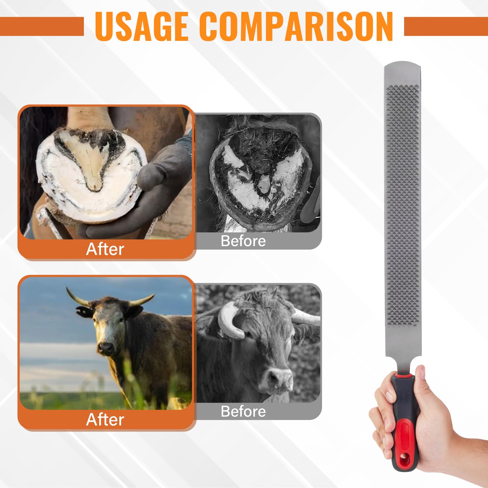 Professional Farrier Hoof Rasp - 18 Inch -3