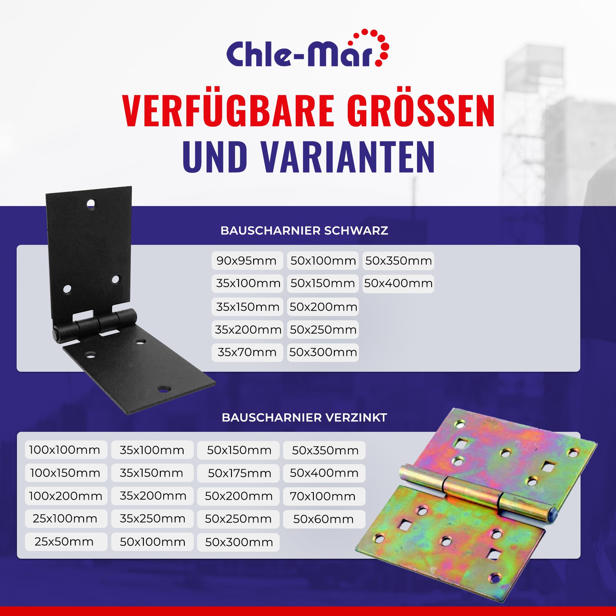 Chle-Mar - 10 cerniere zincate per mobili e porte in legno, 100 x 200 mm, resistenti alle intemperie e durevoli per interni ed esterni