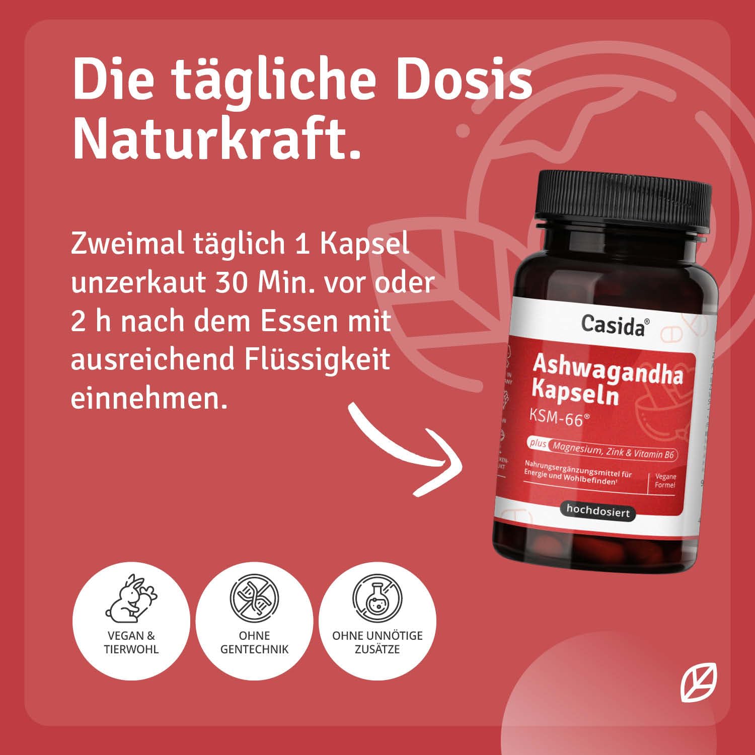 Casida Ashwagandha Kapseln KSM-66 plus Magnesium, Zink und Vitamin B6 - Unterstützung von Energie & Nerven¹²³ - vegan & laborgeprüft - 90 Kapseln (Packung mit 2)