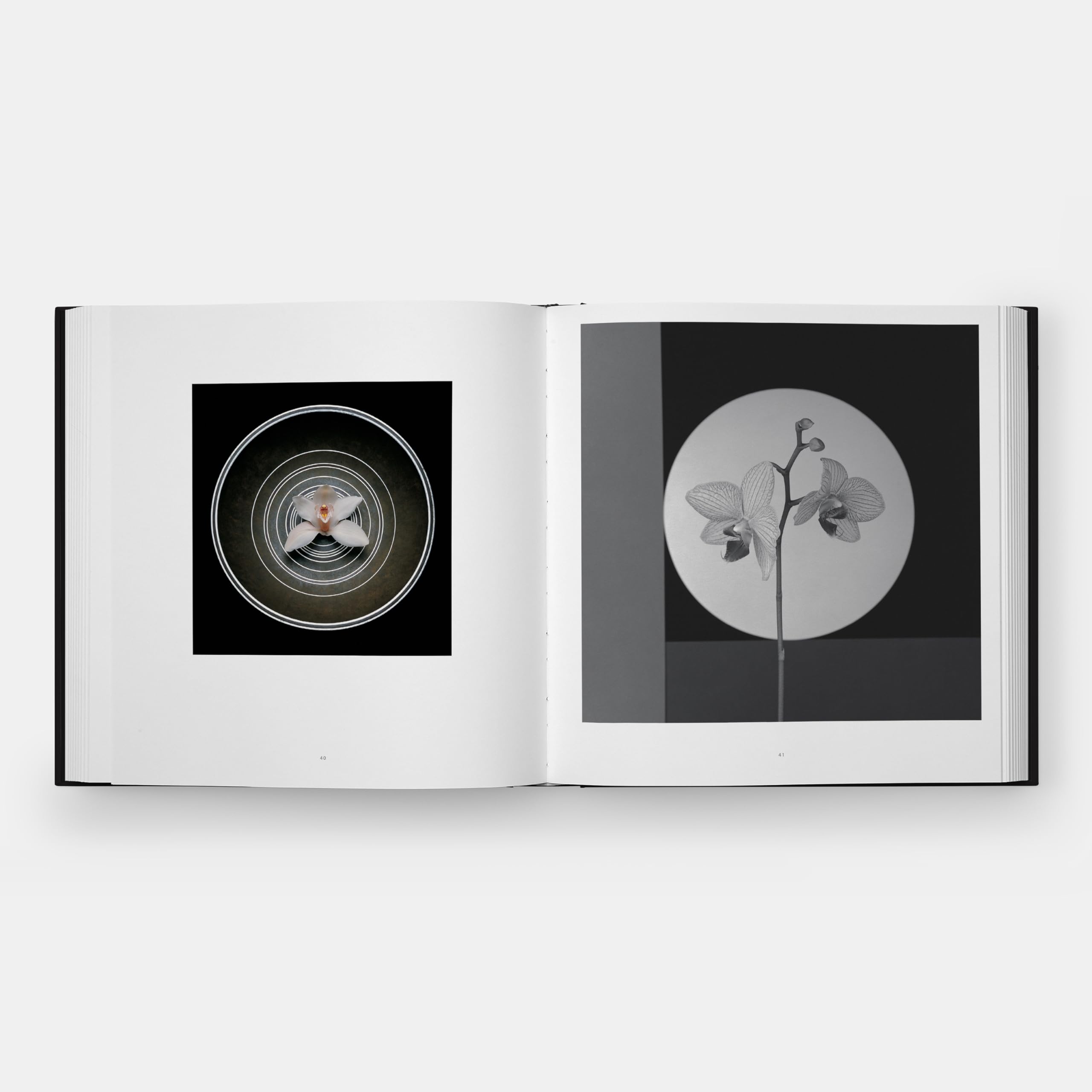 Flora: Les Fleurs de Mapplethorpe