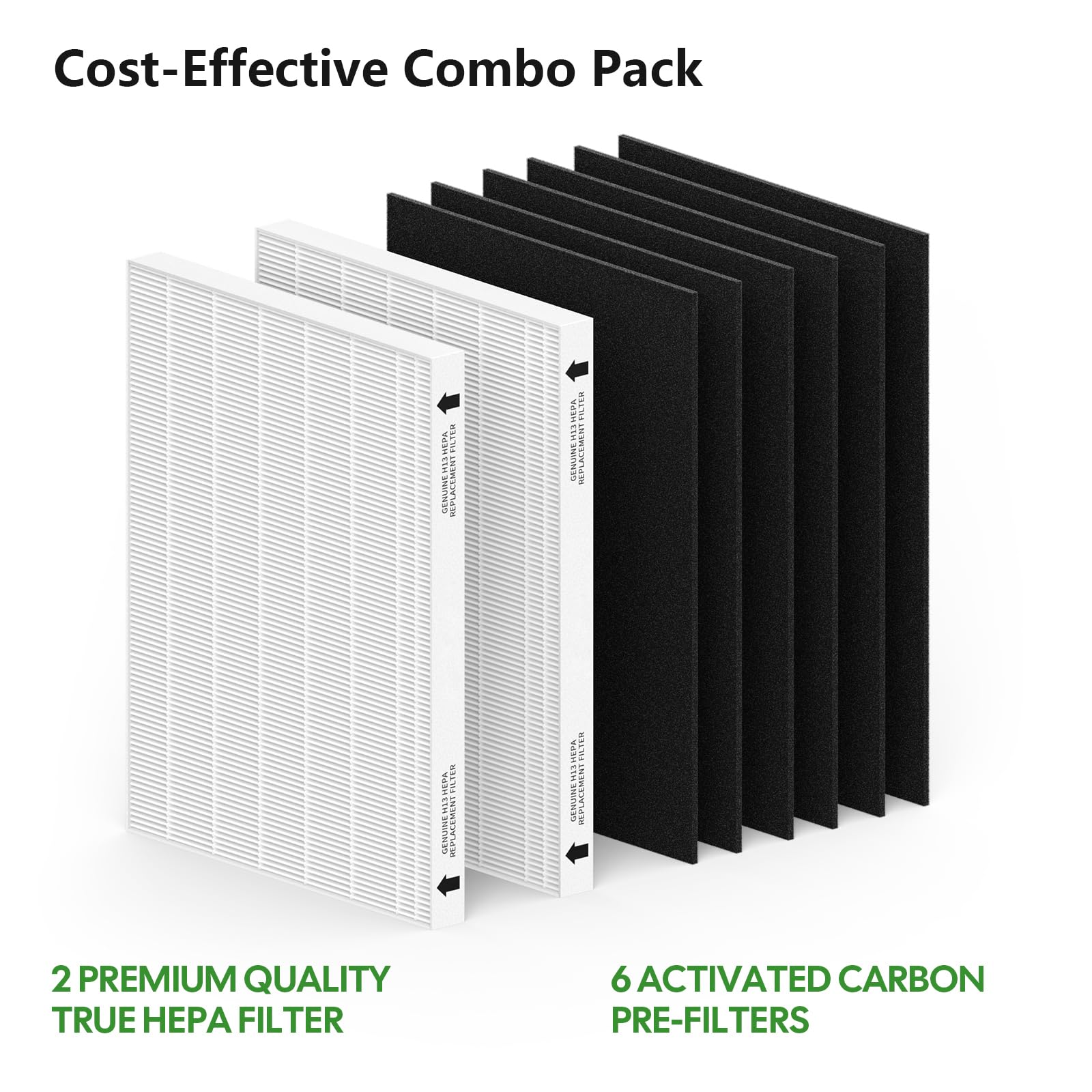 Filtre de rechange HEPA véritable AeraMax pour DX55 | Canadian Tire