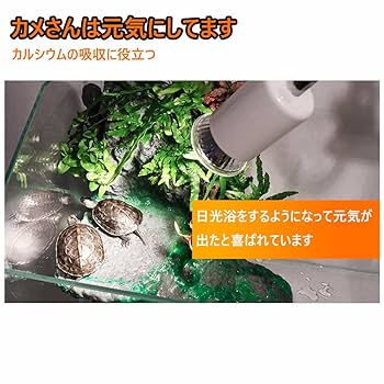 Amazon | 爬虫類 ライト 保温電球 照明 クリップスタンド カメ