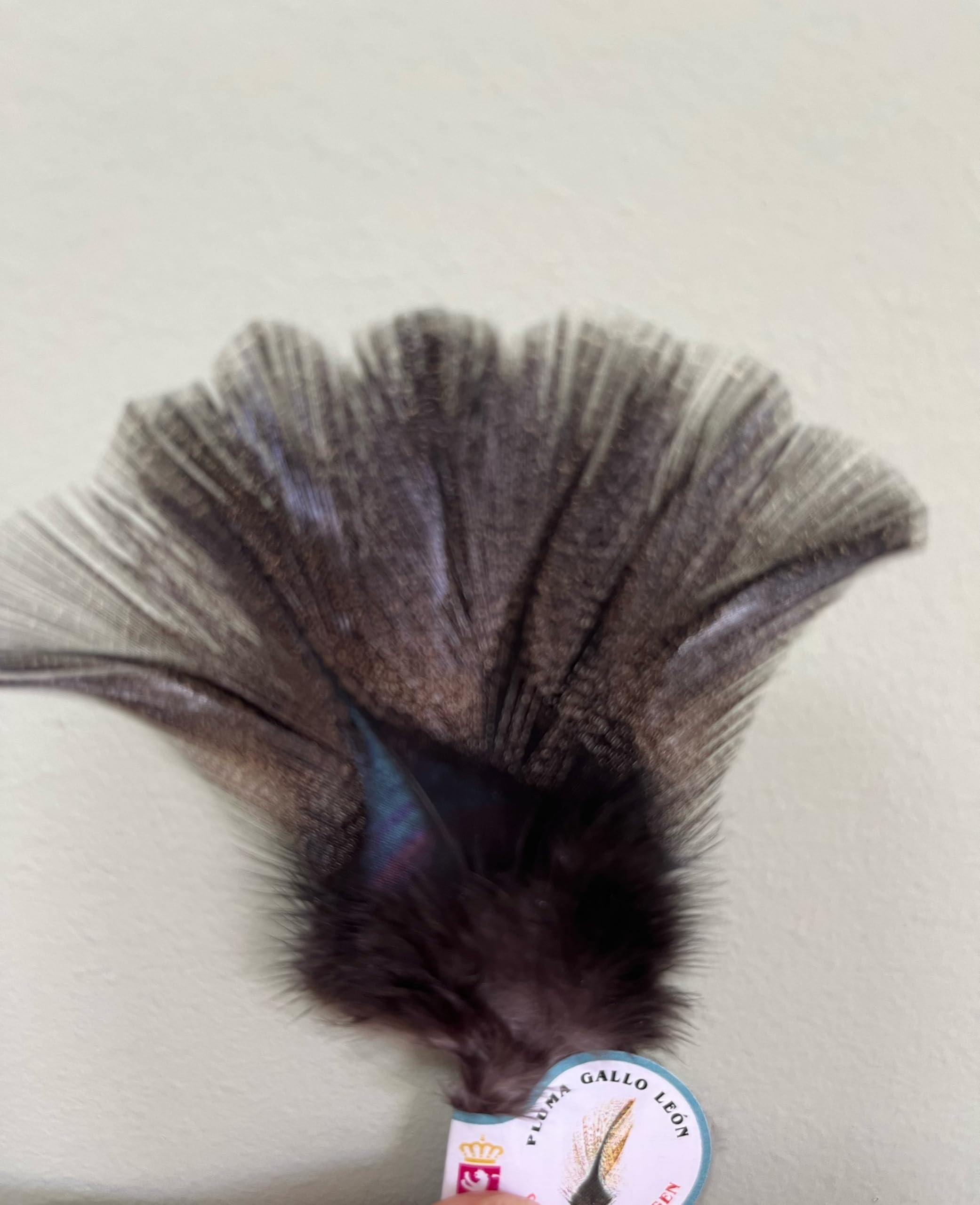 Genérico Pluma Gallo de Leon Lion Rooster Feather