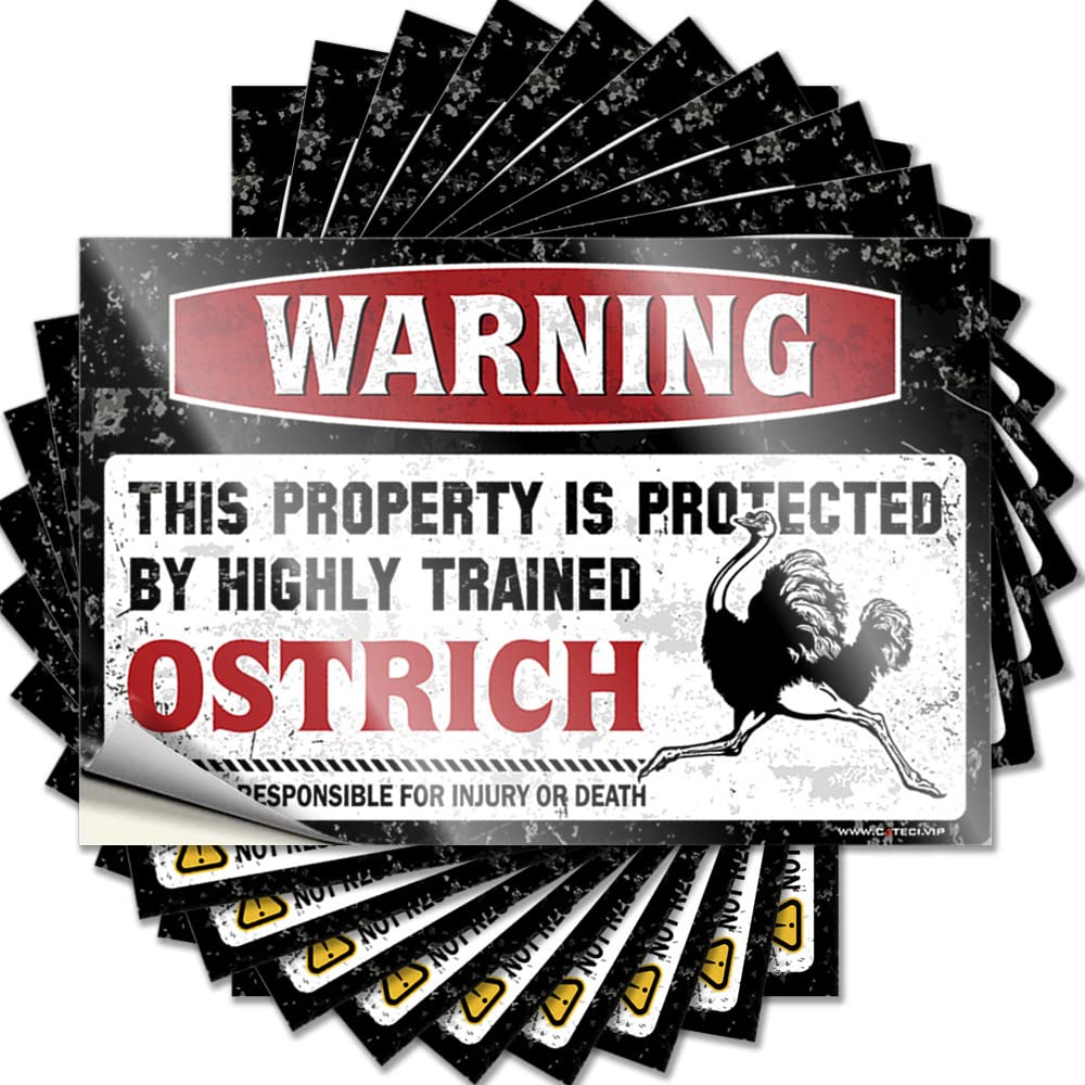 Decals Cocoa Easy Apply | Warning This Property is Protected By A Highly Trained Ostrich Glitter Nice Peel and Stick(6X9CM)