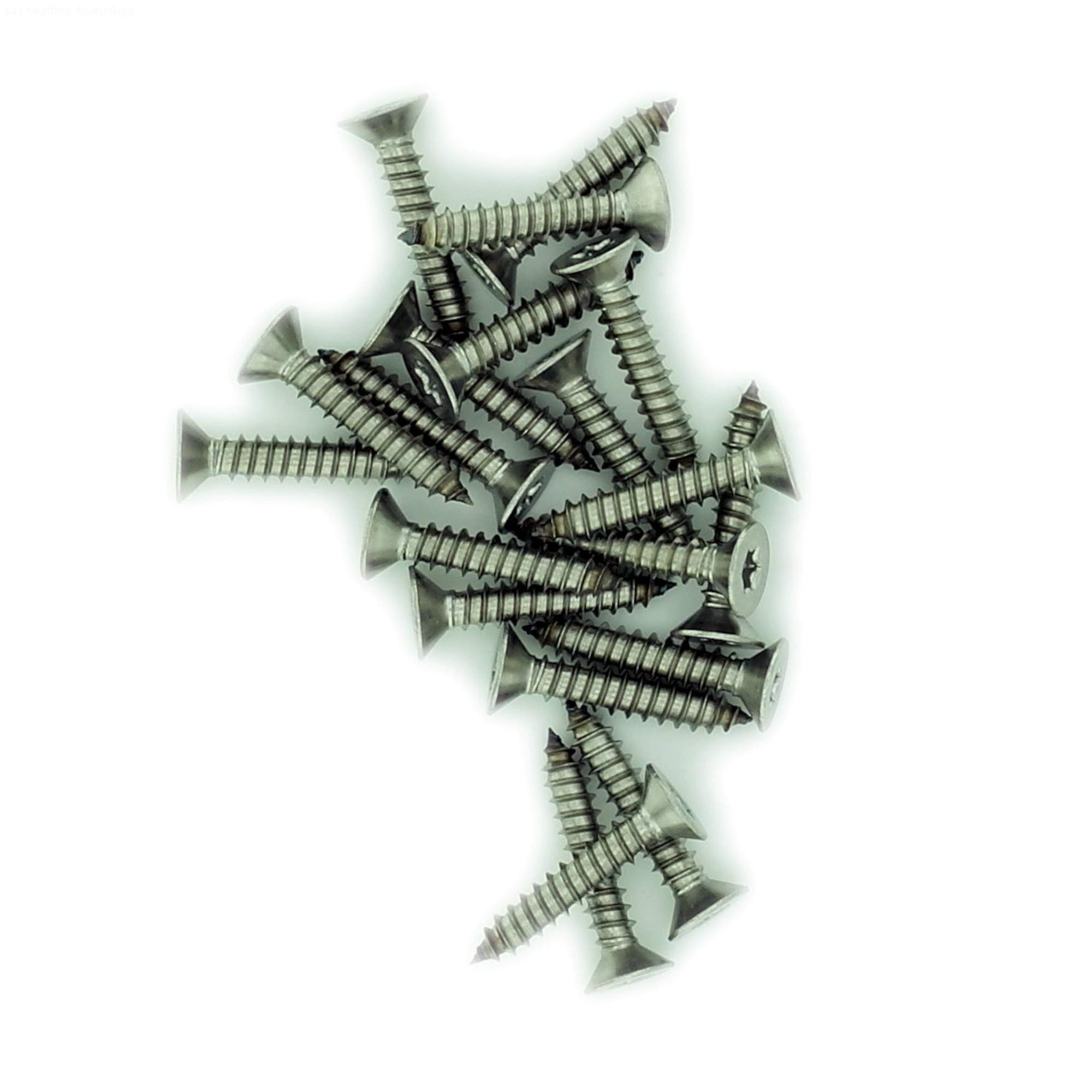 Singularity Supplies Silver No.8 X 0.75 (4.2Mm X 19Mm) Tx Countersunk Self-Tapping Screw - Stainless Steel (A2) (Pack Of 20)