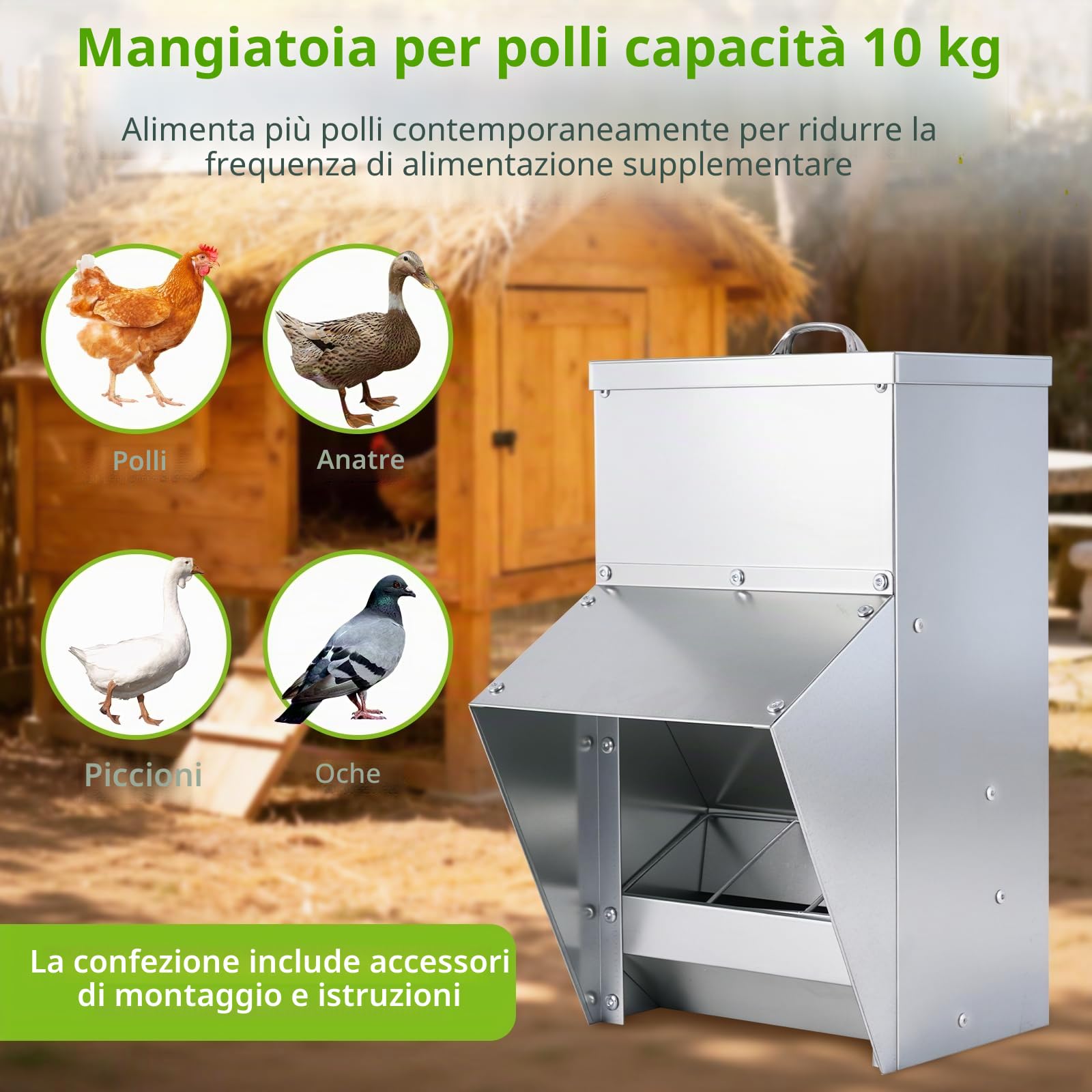 BAOSHISHAN Mangiatoia automatica per polli | Mangiatoia a muro 10 kg con coperchio per polli, anatre e oche