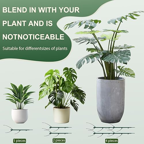Miniatura 3 de Paquete de 5 soportes apilables para plantas Monstera, estacas para plantas de interior y exterior, estacas de jardín para plantas trepadoras y