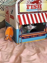 Cats Template Suck UK Tank Cat House Cardboard Kitten Toys & Cat Bed Interactive Cat Toy For Kittens & Cats Novelty Cat Accessories & Cat Gifts Indoor Cat Toys Or Cat Cardboard