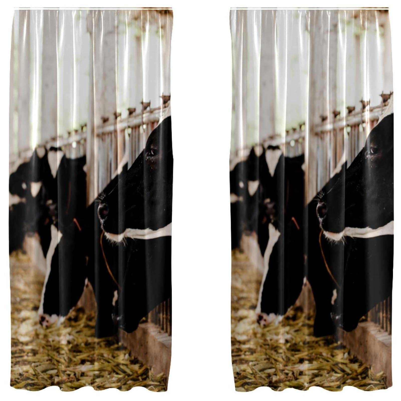 Cortinas de vacas con estampado de alta definición juego de 2 paneles ligeros de 55x84 pulgadas