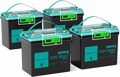 Miniatura 12 de Batería LiFePO4 de 12 V 100 Ah, batería de litio de ciclo profundo BCI Group 24 recargable, BMS integrado de 100 A con protección a baja temperatura