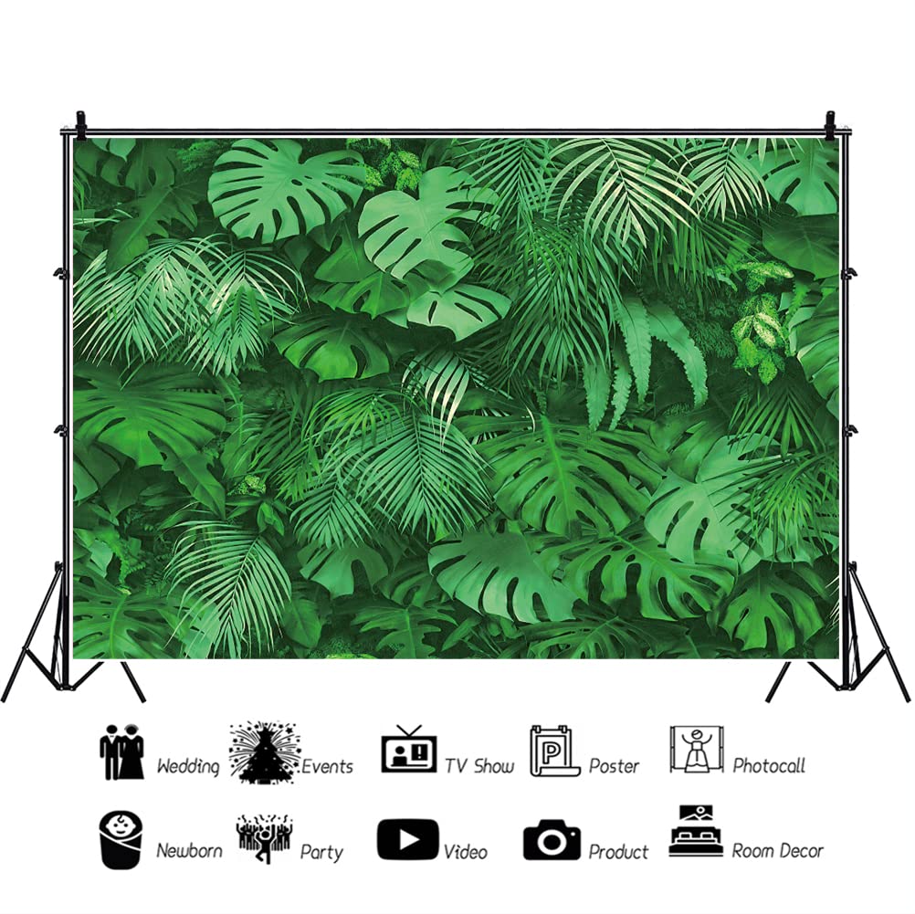 Fotohintergrund Grüne Blätter & Gras - 300x250 Cm Vinyl, Für Geburtstag, Hochzeit, Babyparty