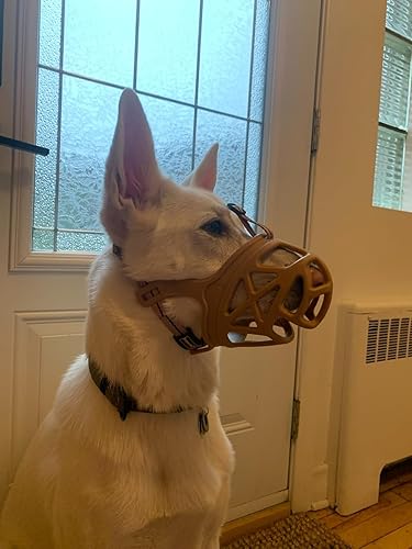 Vista 51 de Bozal para perro, bozal impreso para perros pequeños, medianos y grandes, perro salchicha, beagle, pastor alemán, bozales transpirables