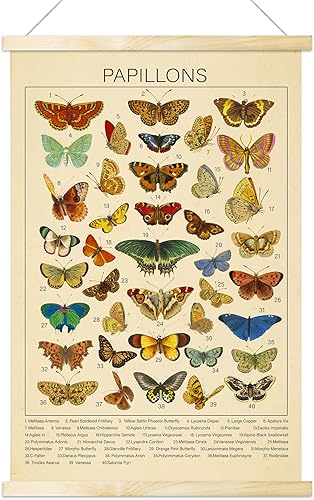 Miniatura 1 de Tevxj Póster vintage de Papillons, impresiones artísticas de plantas, estilo rústico de mariposas para colgar en la pared, póster ilustrado de tabla