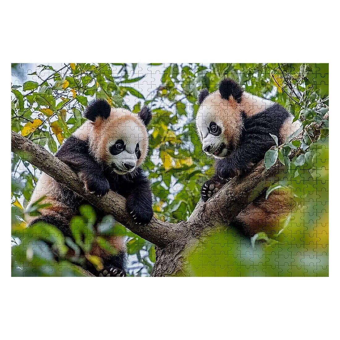 Puzzle 1500 sztuk Panda, drzewo dla dorosłych, klasyczne puzzle Wyzwanie edukacyjne Zabawki dla rodziny, niemożliwe drewniane puzzle z pudełkiem na prezent, dekoracja ścienna - 2091