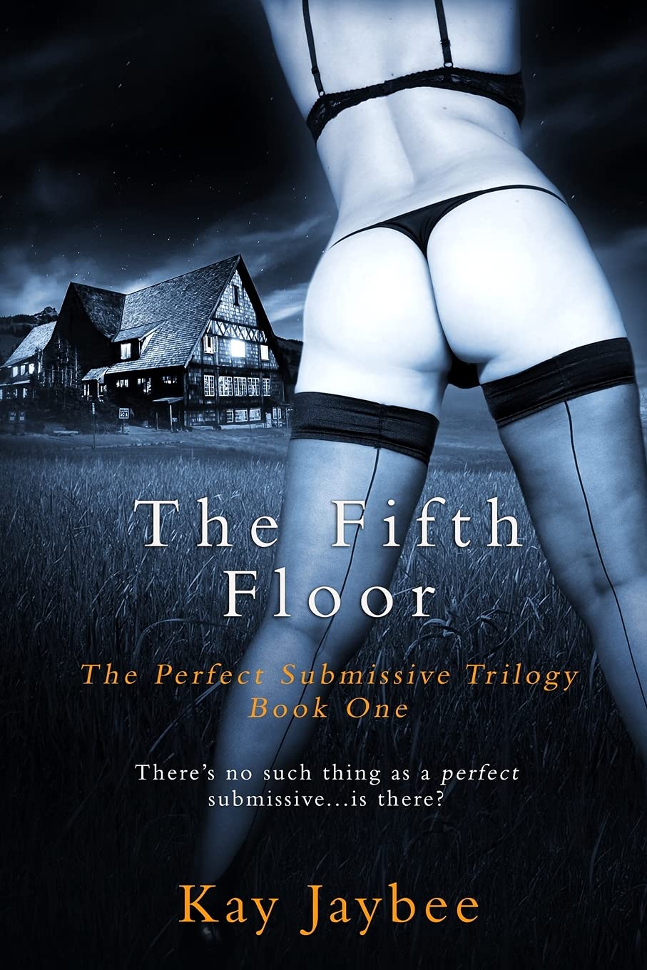 The Fifth Floor: An Erotic BDSM Novel: 1 (The Perfect Submissive)
