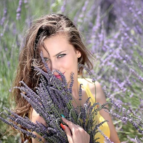 Miniatura 8 de French Lavender Zen Blend Perfume Oil, Organic Jojoba Base with Botanical Lavender, Orange, Wild Marjoram & Frankincense Pure Essential Oils 10ML