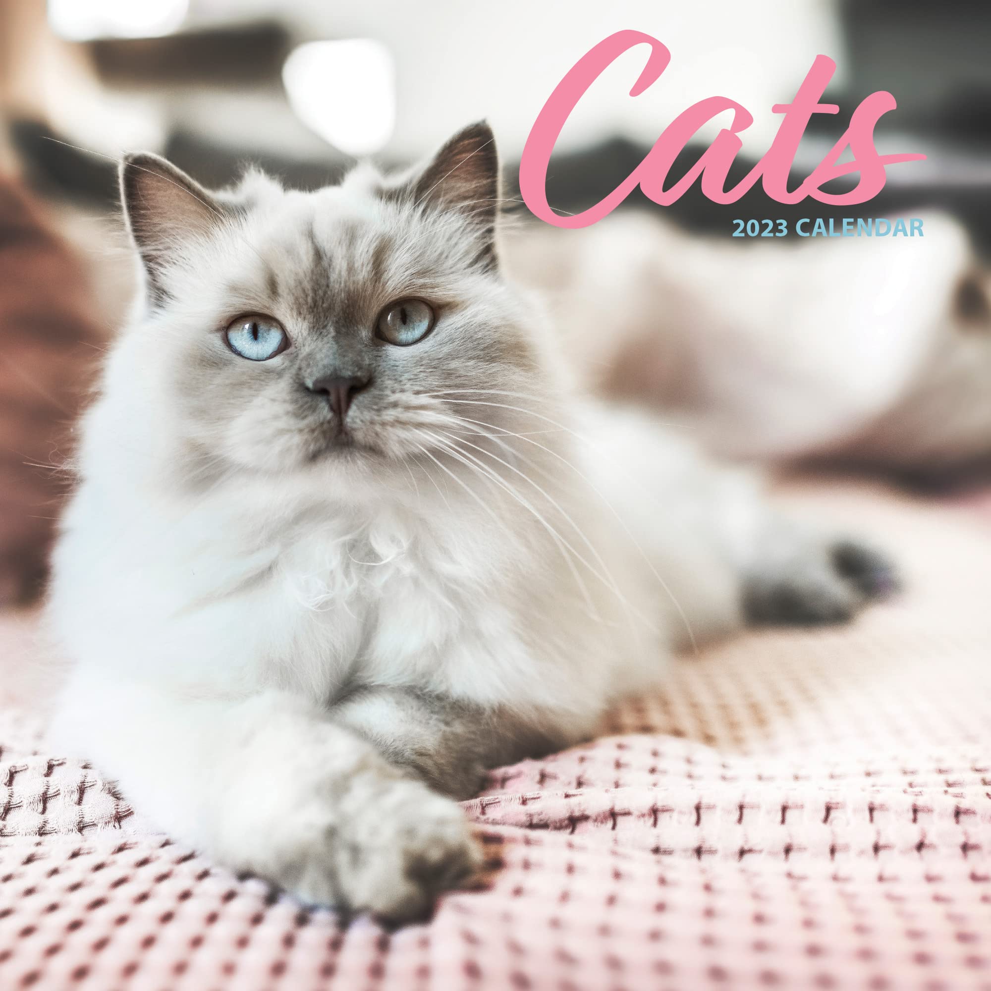 Cat 2023 Traditional Calendar