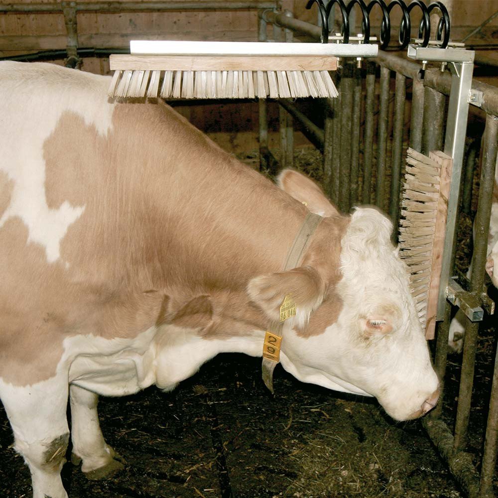 Kerbl Spazzola per bestiame Texas, nero, grigio