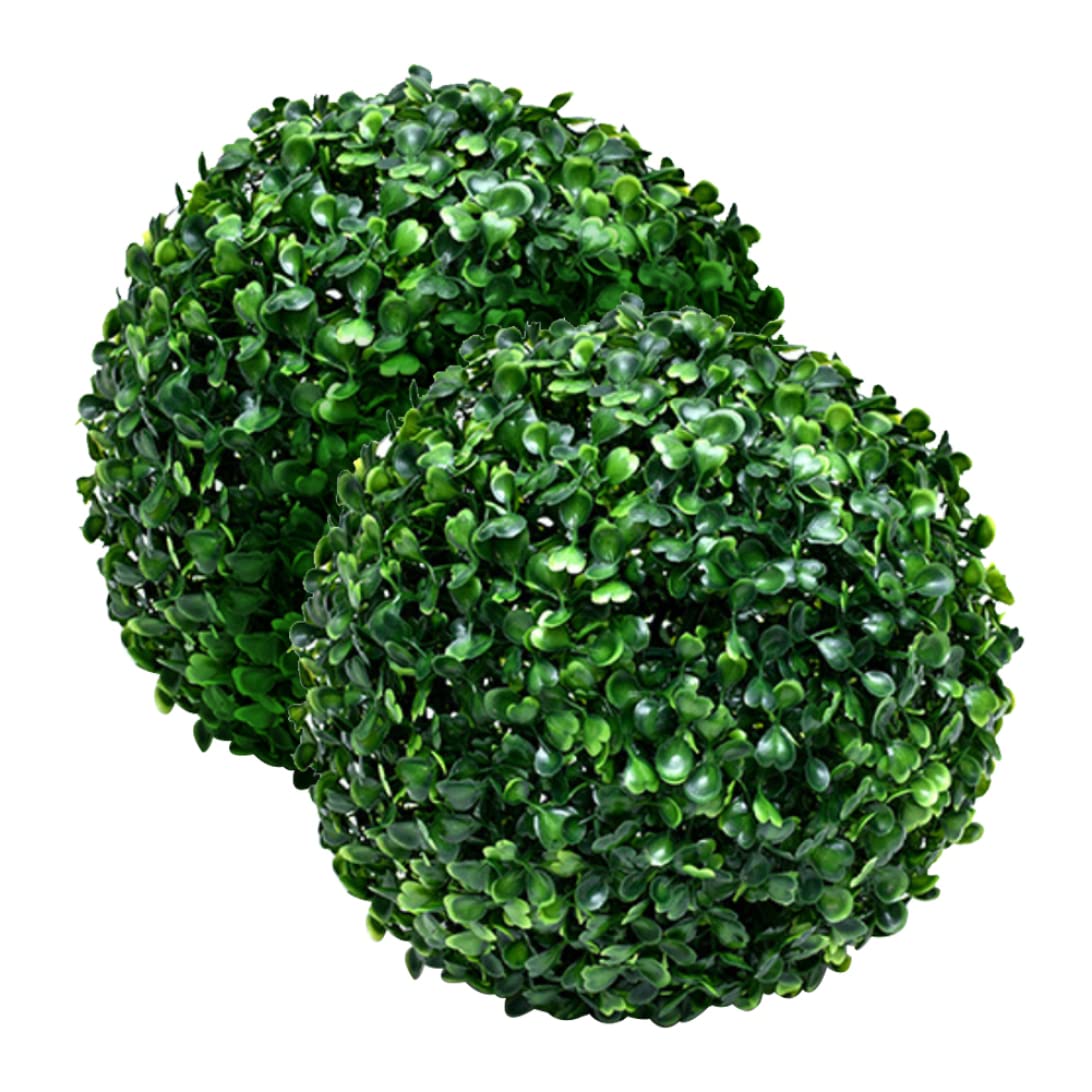 Balles de plante 23cm pour végétaliser un salon sombre sans entretien