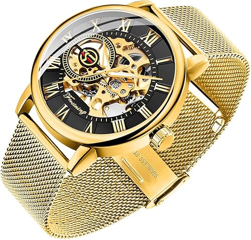 Dentily Reloj de esqueleto para hombre clásico con número romano Steampunk Reloj mecánico Relojes de viento para hombre (azul)