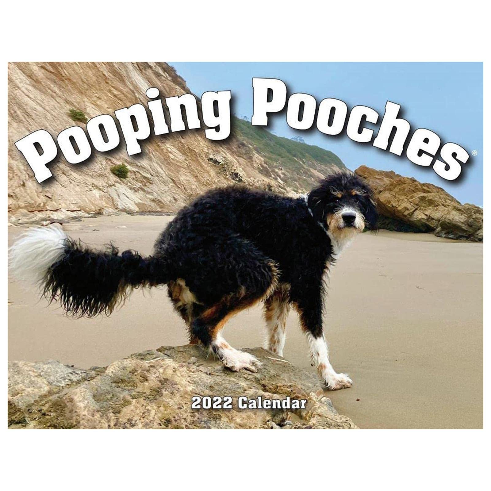 buy-jayehoze-2022-wall-calendar-pooping-dogs-2022-calendar-white