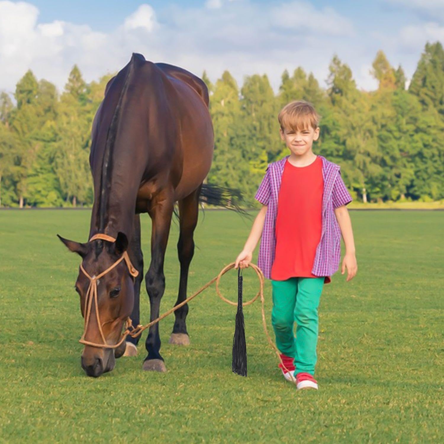 Látigo De Caballo De Cuero PU, Accesorios De Entrenamiento Ecuestre, Látigo De Cuero De Borla