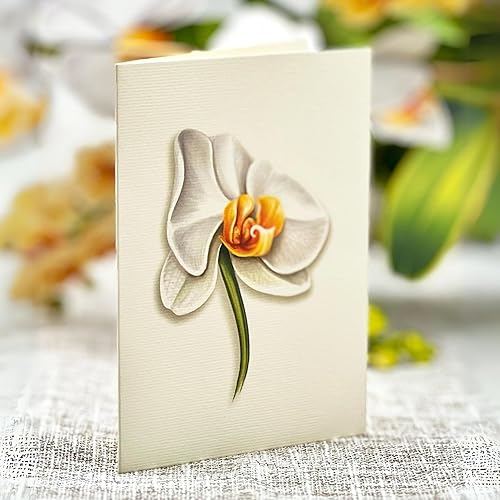 Miniatura 5 de Freshcut Paper Tarjetas desplegables, orquídea serenidad, ramo de flores de tamaño real de 12 pulgadas, tarjetas de felicitación emergentes 3D,