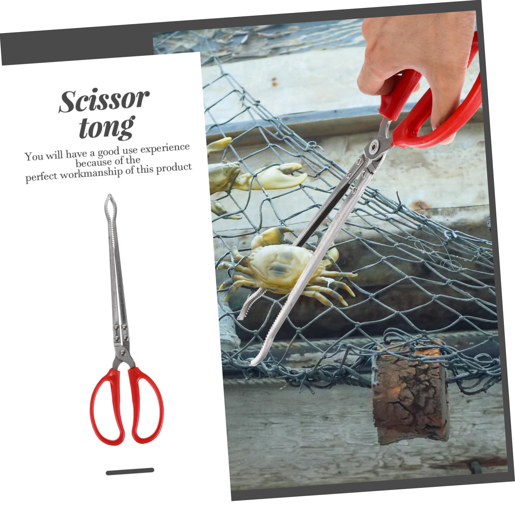 Ipetboom Pince à Crabe Portable Multifonction Acier Inoxydable Pince Antidérapante pour Anguilles et Écrevisses Outil Robuste et pour Usage Domestique et Activités Plein Air