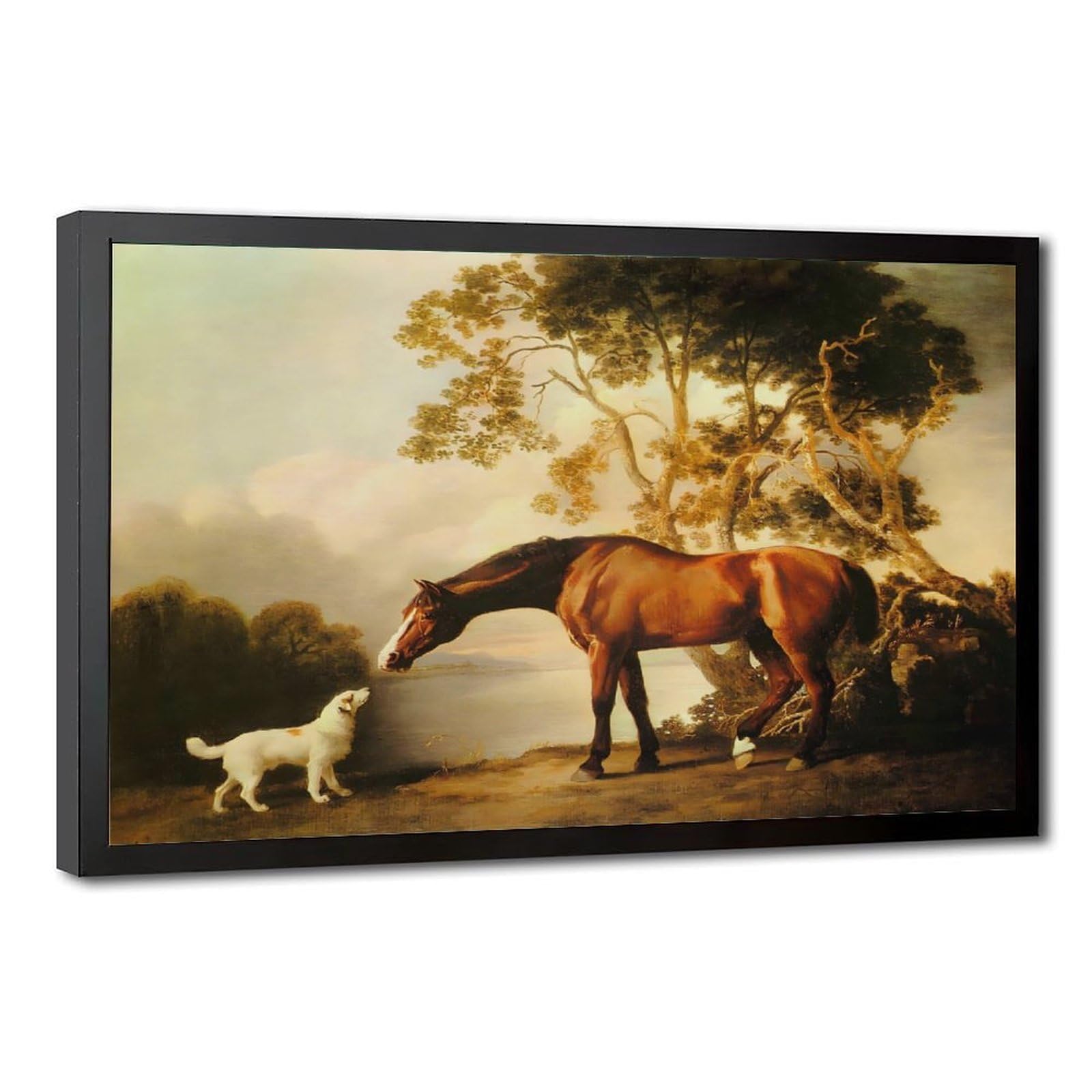 George Stubbs Bay Horse And White Dog Fine Art Prints Posters Canvas Deco Paintings Wall Art For Office Hangable Frame 12" L X 18" W