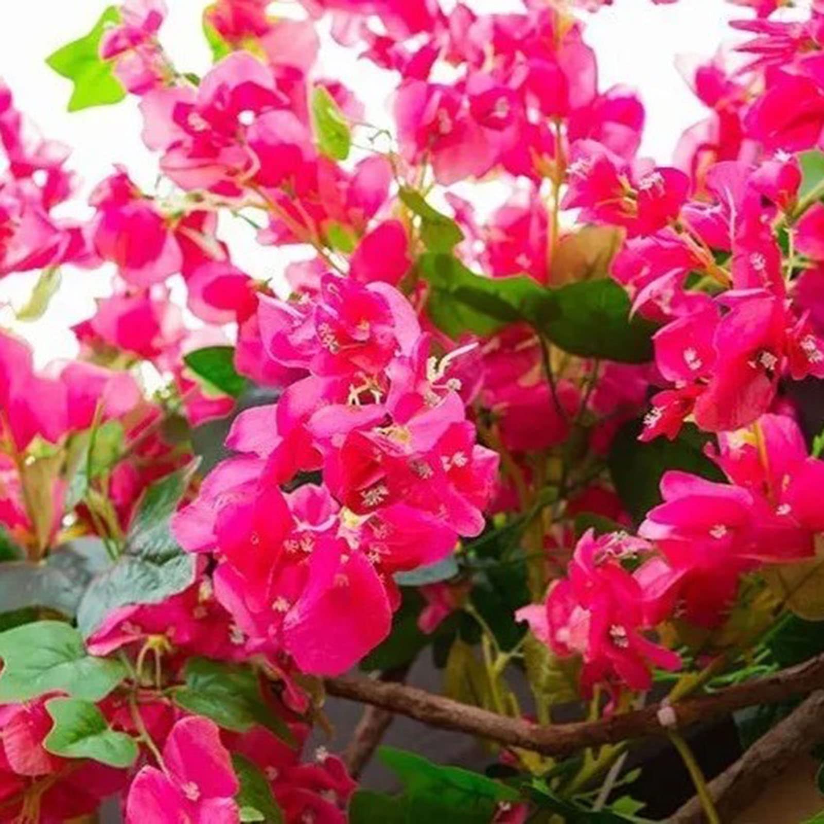 Artificial Rose Flowers Silk Bougainvillea Vines Tree Branch Faux Bougainvillea Silk Flower Garlands For Home Office Weddings - Image 3