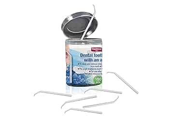 Amazon.com : Oral Care Dental Teeth Pick with Angle Plastic