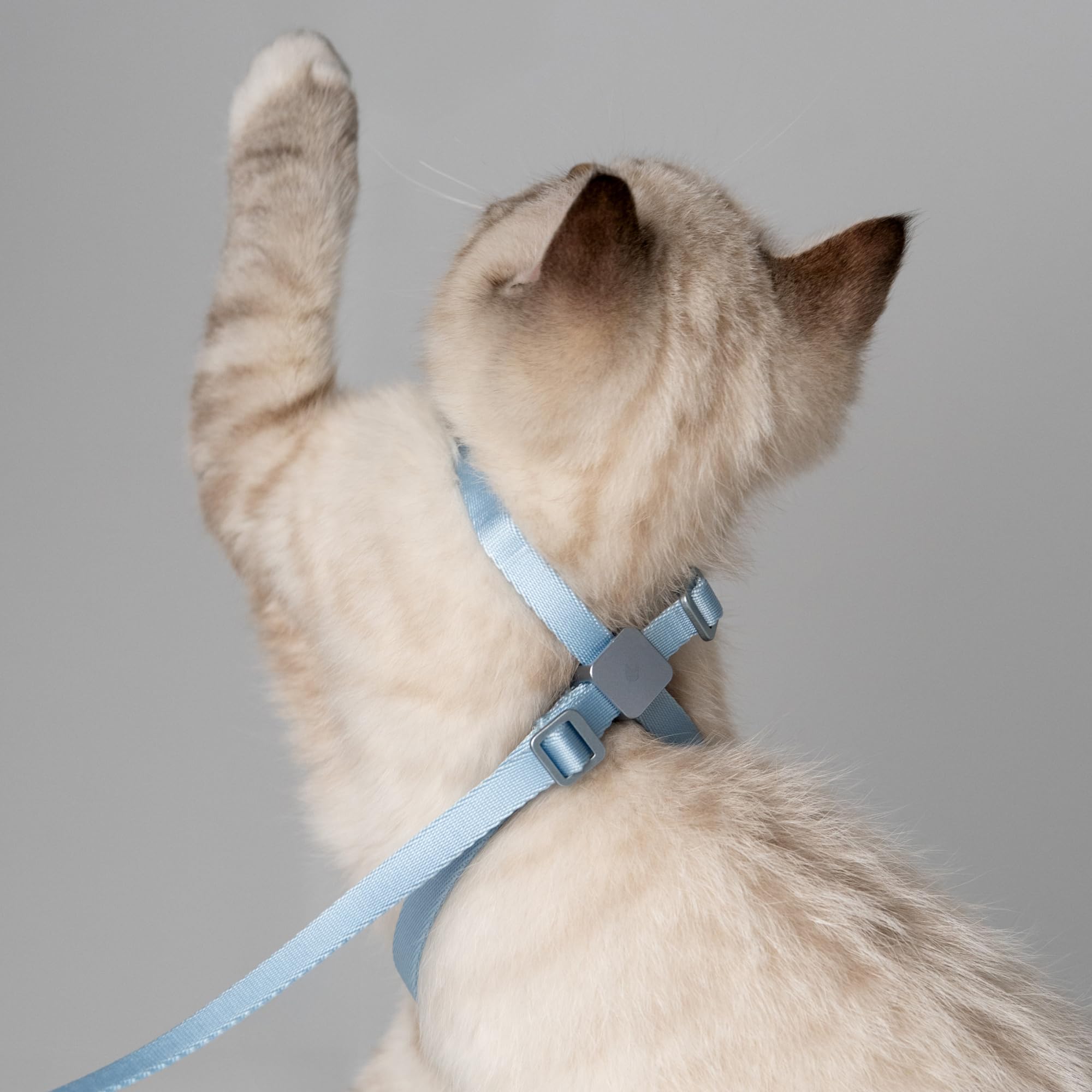Arnés y correa para gatos 2 en 1, diseño de premio de bronce IDA de Estados Unidos, a prueba de escape y antiasfixia, para caminar y entrenar, peso ligero para gatitos y gatos pequeños y