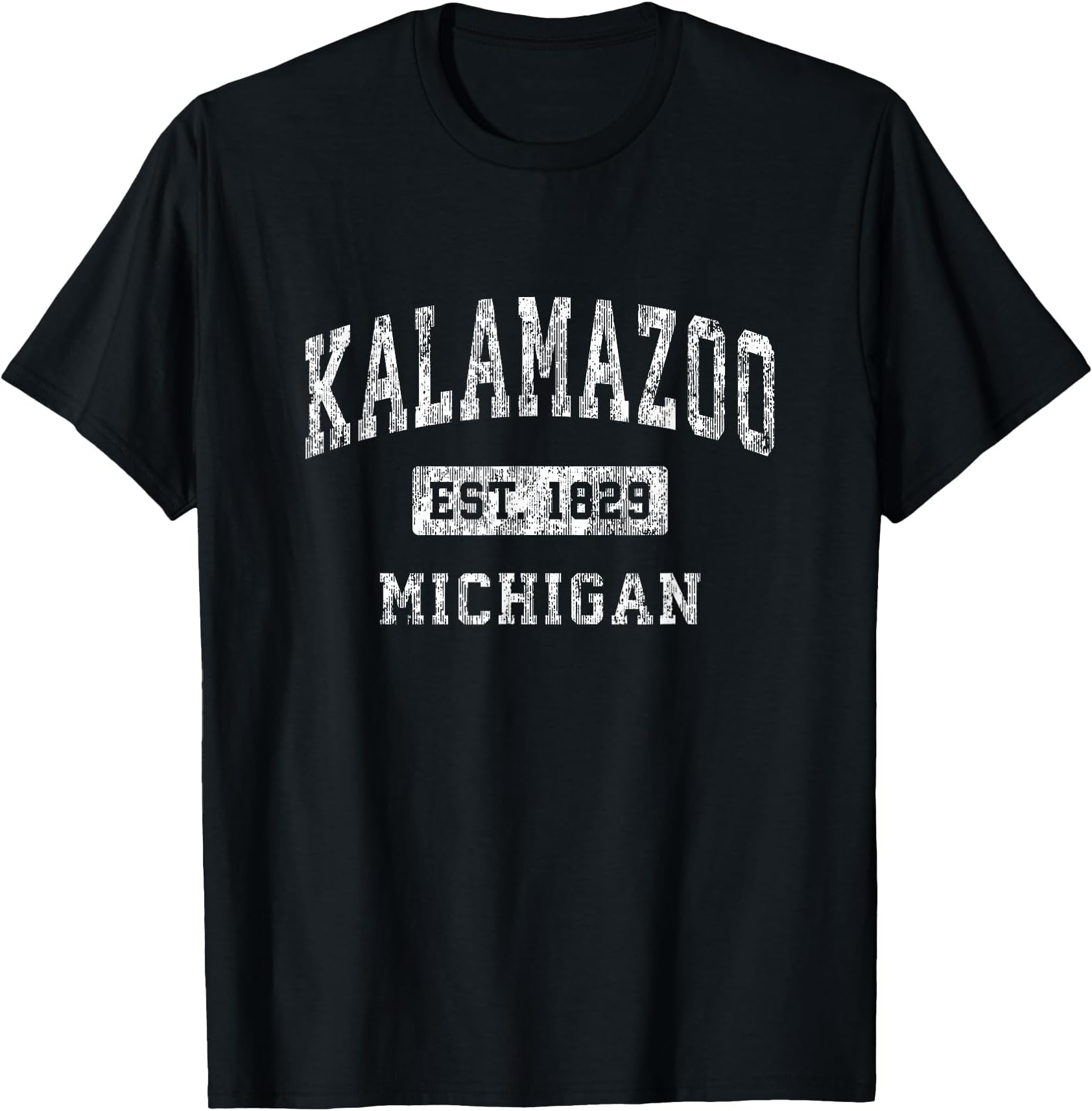 Kalamazoo Michigan MI Vintage Established Sports Design T-Shirt