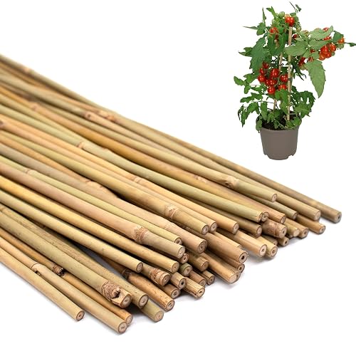Plant Stakes 50Pcs 16IN,POLIUMB Premium Natural Bamboo Stakes Garden Stakes